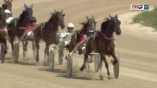 Vidéo de la course PMU PREMI MY LOVE