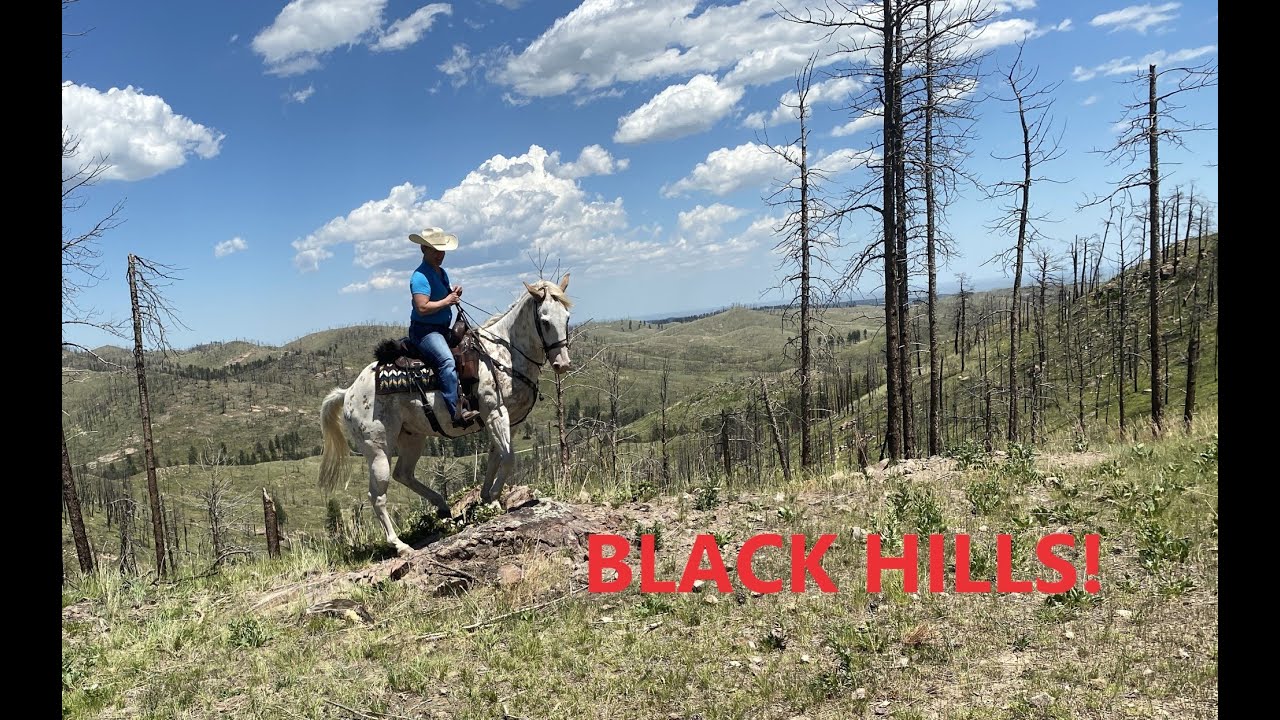 French Creek SD Horse Camp & Trail Tour, June 2022 YouTube