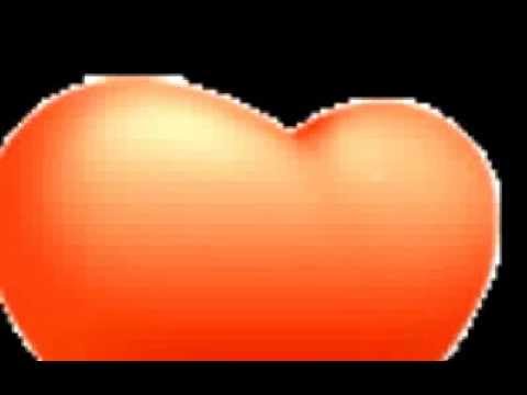 ابراهيم الكاشف عشت على صدى الذكرى تغريد محمد