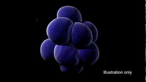 Importance of micro clustered water