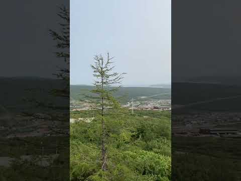 Far East Russia In The City Of Magadan I Visited There In 2021 