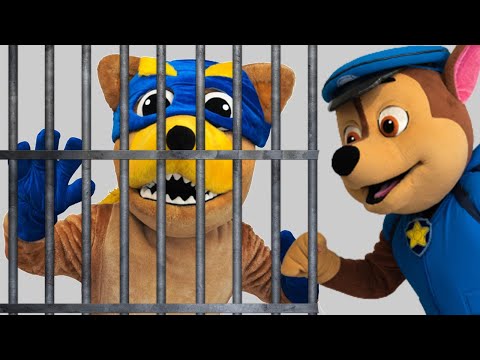 Щенячий патруль спасает детей от Жулика