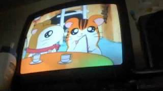 hamtaro episode 6 part 1/2