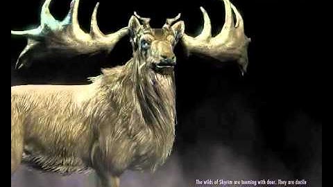 Skyrim - Let