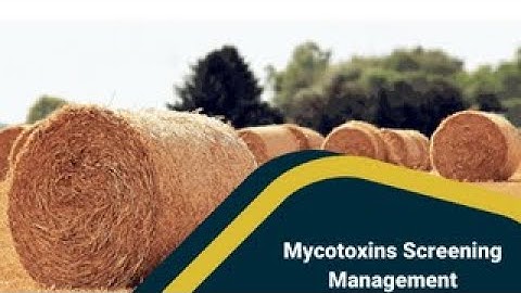 Mycotoxins screening management