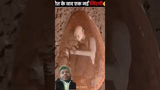 #factsinhindi #war2 #hiphop #trendingsong #hearttouching #worldwar2 #lovesong