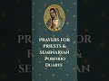 Day 10 - Let us pray for seminarian Porfirio Duarte