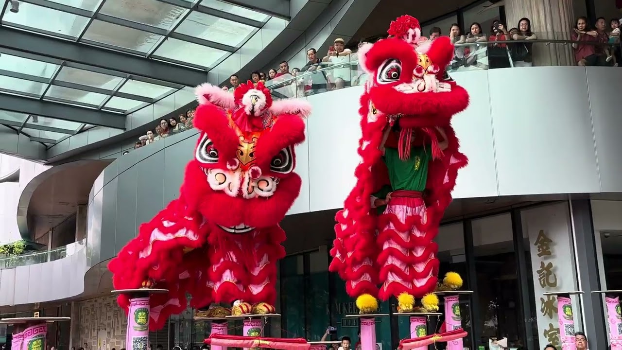 2026 CNY Acrobstics Lion Dance Celebration at Starling Mall