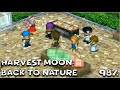 Hmv5 part 6  98 by dezertpenguin8 in 80459  harvest moon back to nature