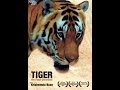 Tiger - The Death Chronicles