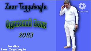 Zaur Teyyuboglu Одинокий Волк 2023 Mp3