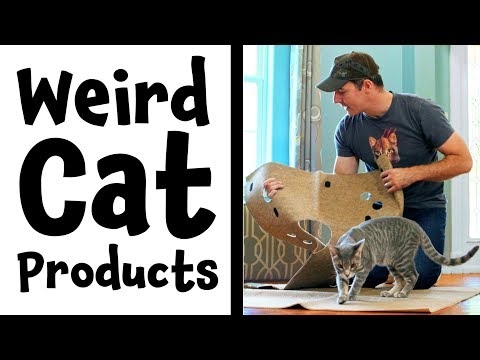 Weird Cat Products Found On Amazon | The Ripple Rug Cat Activity Mat | Review