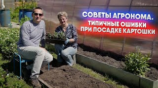 Советы агронома. Типичные ошибки при посадке картошки