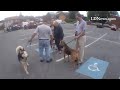 City of Lebanon's Northside Neighborhood pet parade#LDNews