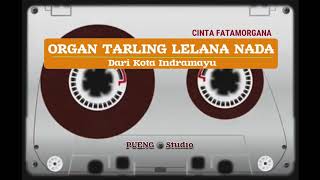 ORGAN TARLING LELANA NADA | CINTA FATAMORGANA