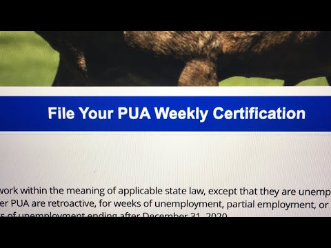 PUA change to the weekly certification #DETR
