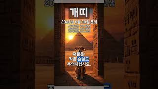 [2025년 6월 20일 개띠 오늘의운세] 작은 마찰도 방치하지 말아야한다. 세심한 주의가 요구된다. #개띠…