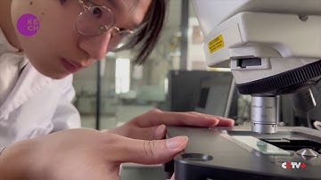 Preserving the Legacy: Restoring Bronze Artefacts