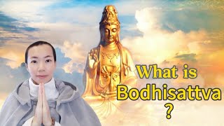 What is a Bodhisattva