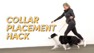 Improve Trotting, Head & Tail Carriage with this Collar Placement Hack