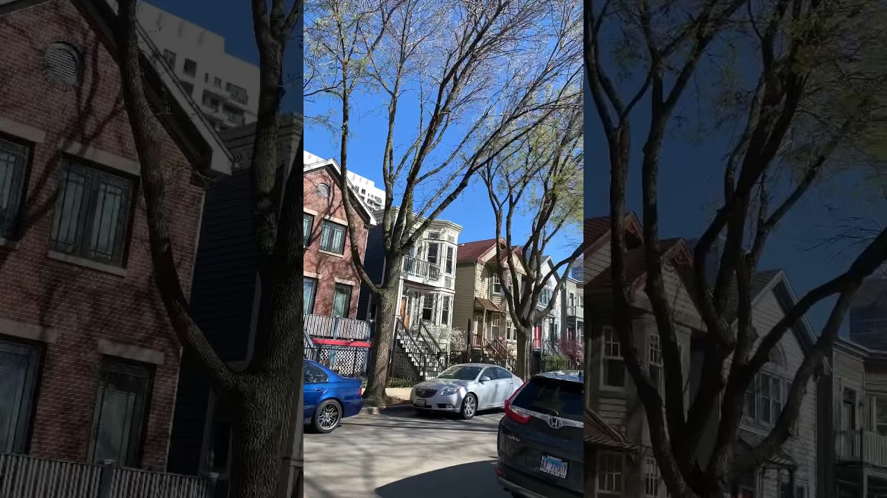 The Dearborn Homes in the South Loop of Chicgo on a beautiful clear day