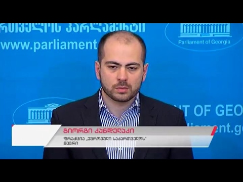 ფრაქცია \"ევროპული საქართველოს\" წევრის გიორგი კანდელაკის ბრიფინგი