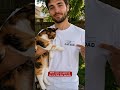 Custom T-shirt - Father's Day Birthday Gifts For Cat Lovers - Paws Made Me Happy DBT-YL0511 V1.2
