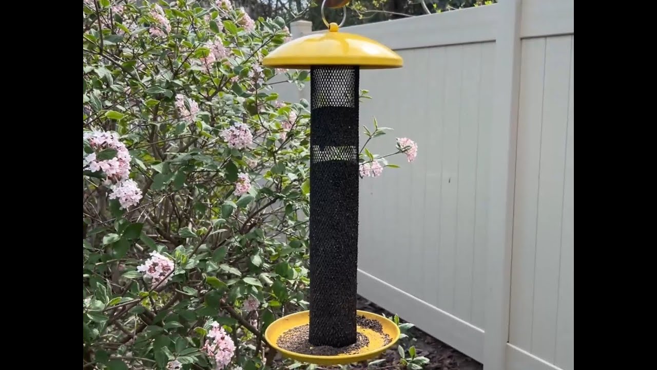 Quality Feeder for More Than Finches!