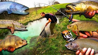 Verrückte Fischarten Challenge am unbefischten Bach!!
