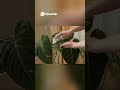 モスポールを大量解体｜良かったこと