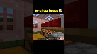 Minecraft Smallest House