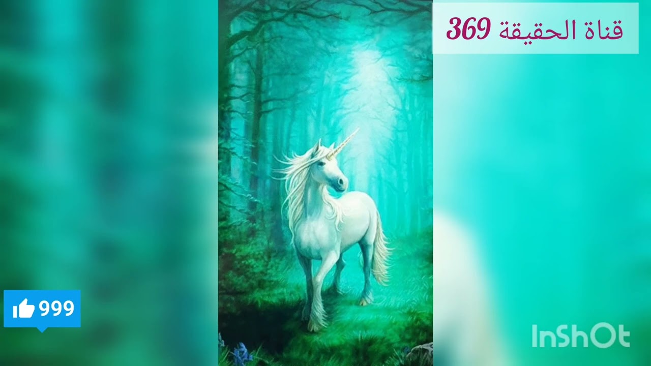 توأم الشعلة مرحلة فقدان الشغف عند المطارد اسبابها والحل للخروج منها