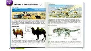 Unit 4 - Animals in the Gobi Desert - Macmillan English Language Book 3 - Tiếng Anh Tích Hợp