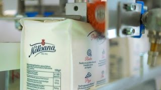 Download 1 Kg Flour Packaging Machines Wheat Maize Milling Industry Youtube