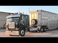 Loading cattle in Abilene, TX