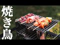 【ソロキャンプ】2780円の焚火台で焼き鳥を焼いて楽しむ休日。SOLO CAMP