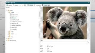 Media Explorer Overview (Composica)