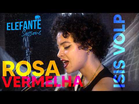 Rosa vermelha - Isis Volp | ELEFANTE SESSIONS