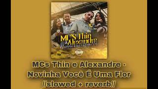 MCs Thin e Alexandre - Novinha Você É Uma Flor 🌻//𝚜𝚕𝚘𝚠𝚎𝚍 + 𝚛𝚎𝚟𝚎𝚛𝚋//🌻