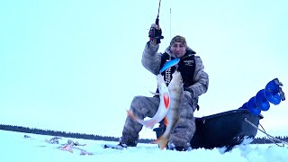 видео: ВОТ ЭТО ЖОР В ЛУНКЕ! Открытие рыбалки со льда 2024-25. Ловлю окуня и щук на ратлины. картинка: ВОТ ЭТО ЖОР В ЛУНКЕ! Открытие рыбалки со льда 2024-25. Ловлю окуня и щук на ратлины.