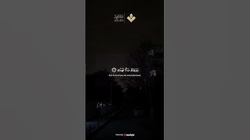 أَلَمْ يَجِدْكَ يَتِيمًا فَآوَى || من سورة الضحي #المنشاوي