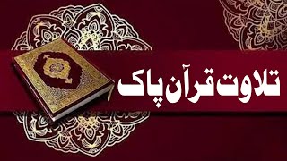 A Spiritual Start with Quran Recitation | Bright Vision School Student Sadiq | @raheemgul7671