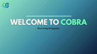 How to Run Python Code Snippets Interactive Shell & Exit Command