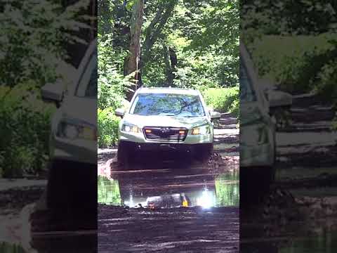 Subaru Forester Testing Puddle Depth #Shorts @MatthewHeiskell