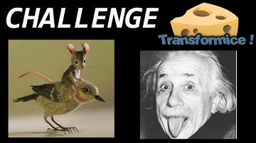Transformice Challenge - Are you the Gravity Master ?