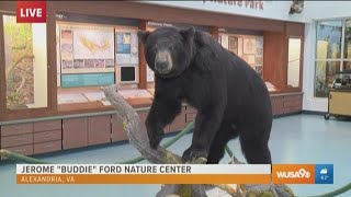 Get a first hand look at nature in Alexandria at the Jerome "Buddie" Ford Nature Center Jerome Buddie Ford Nature Center