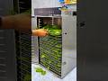 🍃 Guava Leaf Powder Business 2026 | Guava Leaf Dehydrator + Grinder Machine Setup 🏭⚡