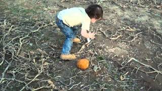 Xander running through pumpkin patch at Beggs