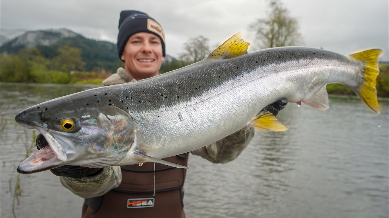 GIANT Steelhead Catch Clean Cook (Remote River Fishing Oregon) 