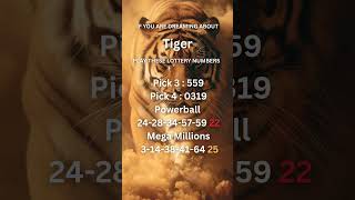 If you are dreaming about a Tiger, play these lucky lottery numbers.